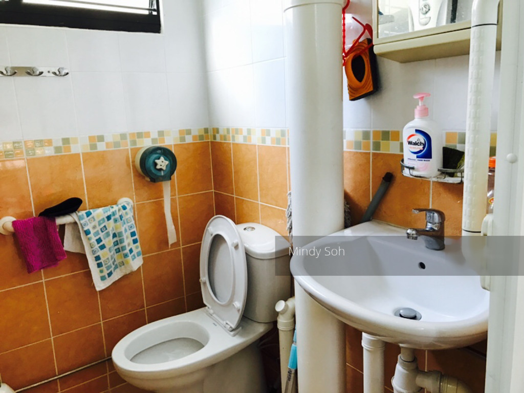 Blk 706 Clementi West Street 2 (Clementi), HDB 3 Rooms #137045952